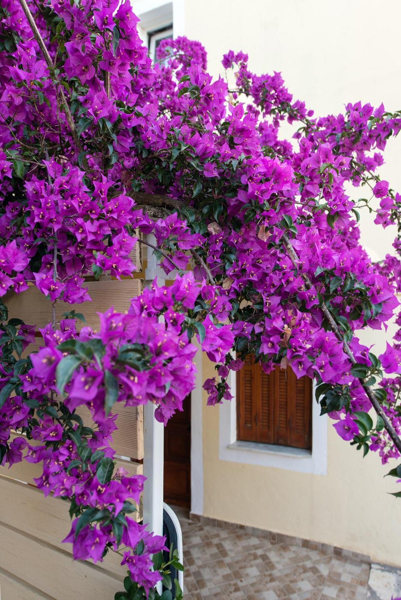 Hill Lofos Hotel Kassiopi Zewnętrze zdjęcie