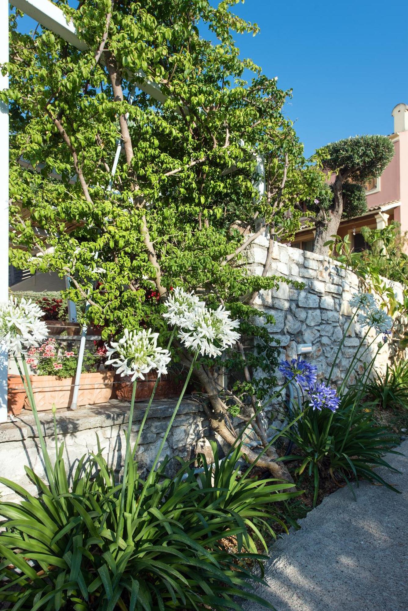 Hill Lofos Hotel Kassiopi Zewnętrze zdjęcie