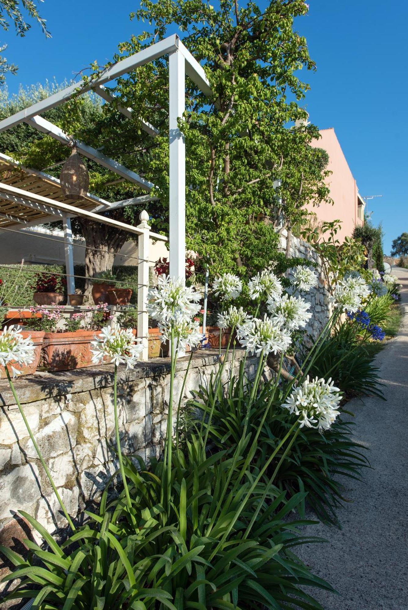 Hill Lofos Hotel Kassiopi Zewnętrze zdjęcie