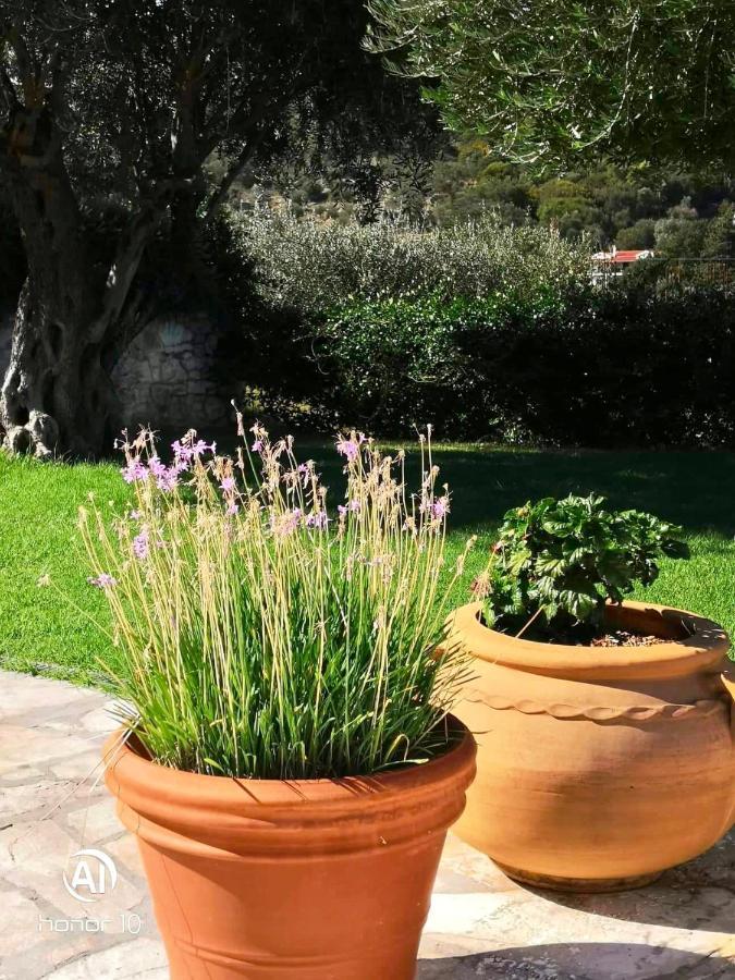 Hill Lofos Hotel Kassiopi Zewnętrze zdjęcie